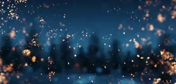 Partikel und Bokeh vor verschwommenen Kieferbäumen und Sternenhimmel bei Nacht