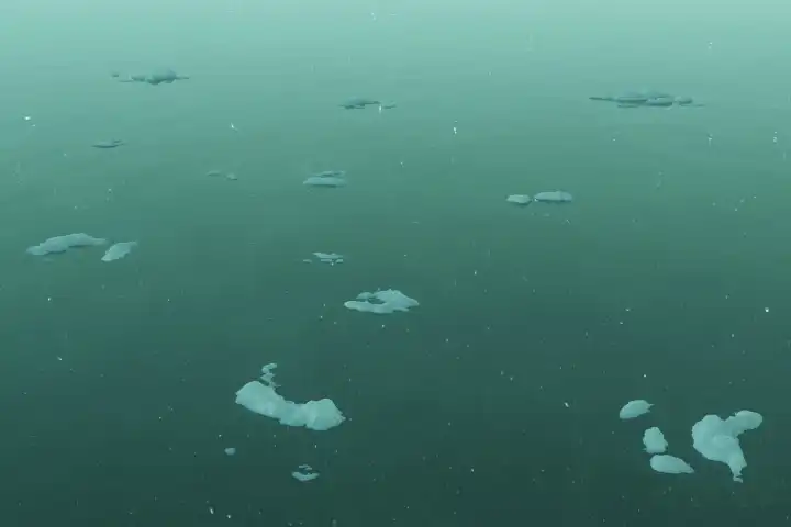 Water surface with floating ice sheets