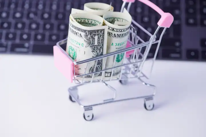 Miniatur-Warenkorb gefüllt mit Dollar-Banknoten als Konzept für den Online-Einkauf
