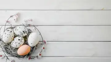 ai generative illustration of an easter nest with white eggs against white wooden background, copyspace for any text