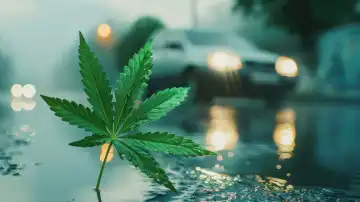 ai generativ, Cannabisblatt vor einem verschwommenen Fahrzeug als Symbolbild für Cannabiskonsum und Autofahren