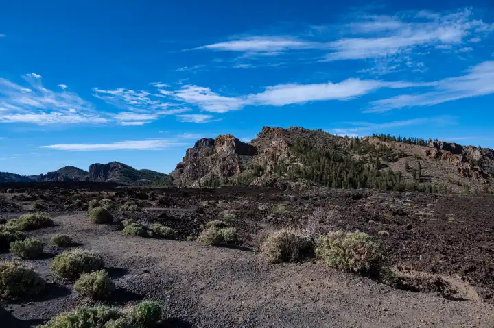 the landscape las Narices in Tenerife