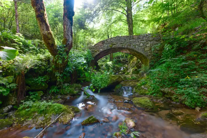 Kleiner Bach unter einer kleinen Steinbrücke im Wald