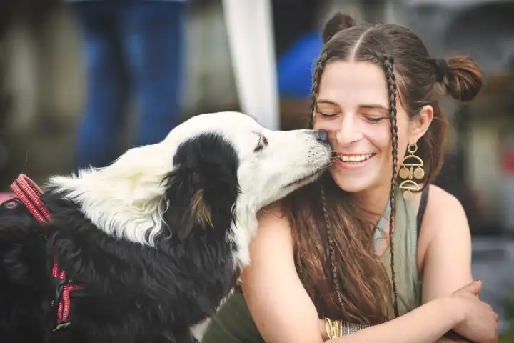 Australian shepherd dog kisses a young girl