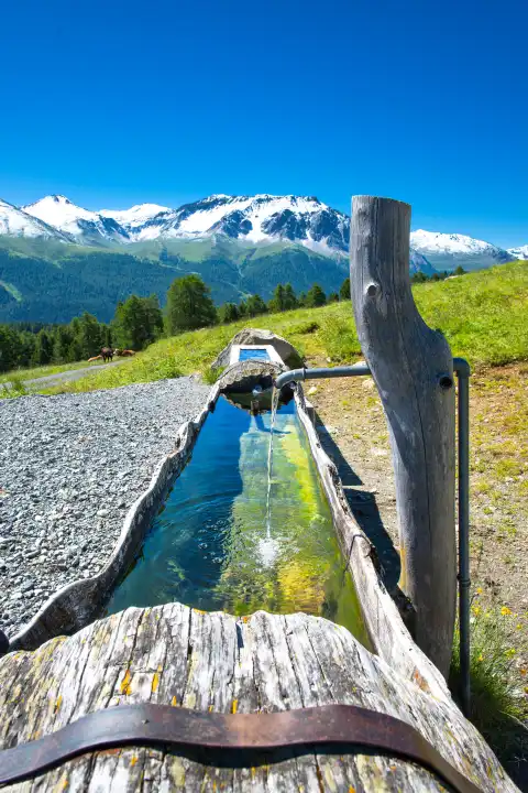 In einen Baumstamm gegrabener Brunnen in den Schweizer Alpen im Sommer