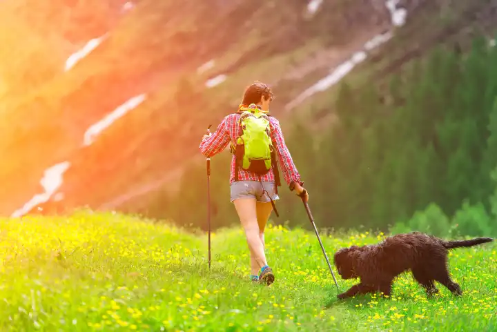Wandern in den Bergen einer alleinstehenden Frau mit Hund