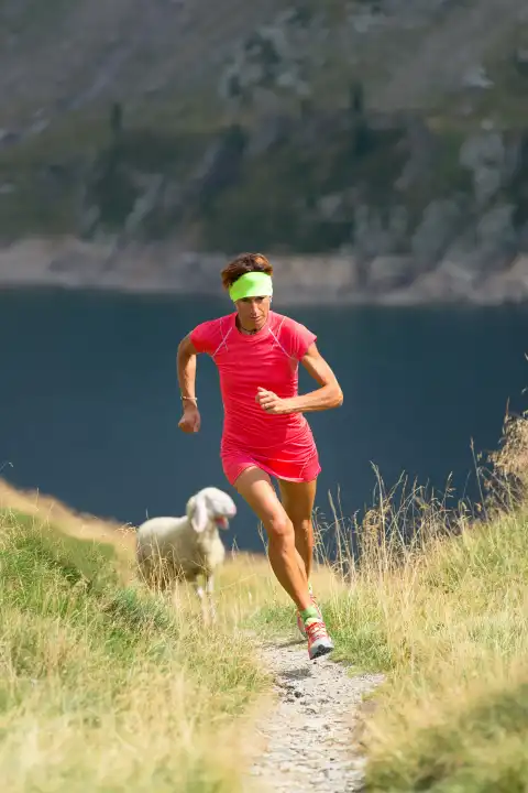 Girl athleterun in a mountain path with sheep near