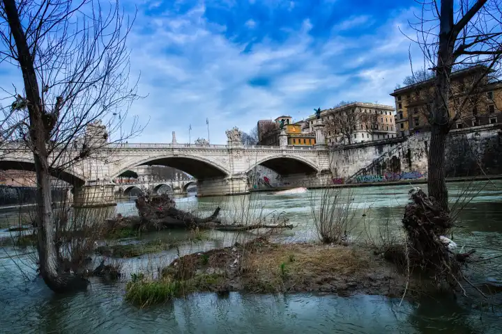 Small islets, and plants in the river Tiber in Rome