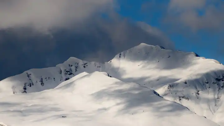 Knospen über Schneebergen in den italienischen Alpen