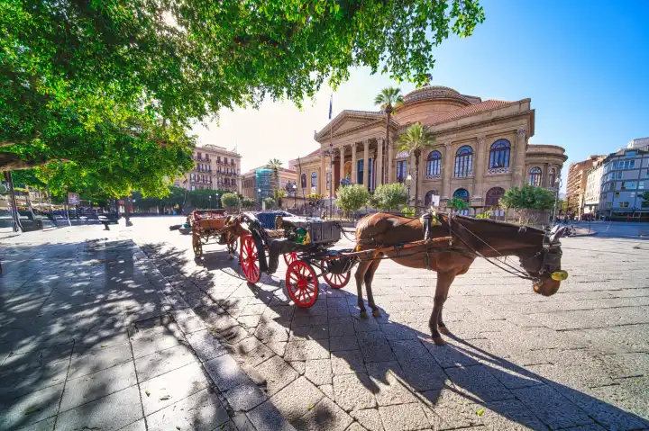 Pferdekutsche vor dem Massimo-Theater in Palermo Sizilien Italien