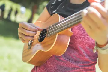 Ukulele played by a girl  at a party in a meadow