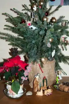 Weihnachtnachtliche Dekoration und Symbole: Krippe, Maria und Josef, kleiner Weihnachtsbaum mit Kugeln und Tierfiguren