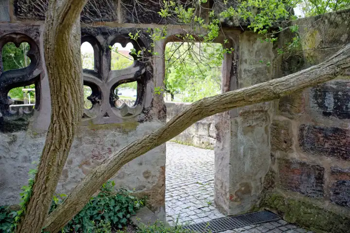 Kahle Äste vor einem Durchgang durch eine Mauer mit einem Fenstern mit steinernem. ornamentierten Fensterkreuz