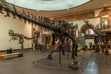 Visitors to the Senckenberg Museum of Natural History, Frankfurt, Germany