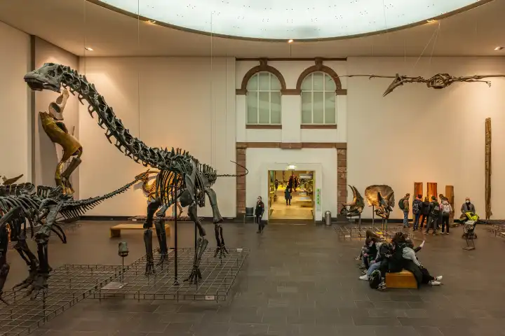 Visitors to the Senckenberg Museum of Natural History, Frankfurt, Germany