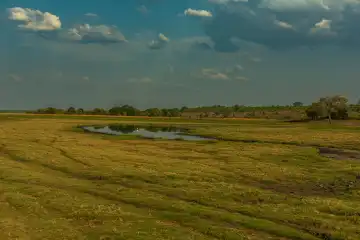 Blick auf die Landschaft am Chobe Rifer in Botswana