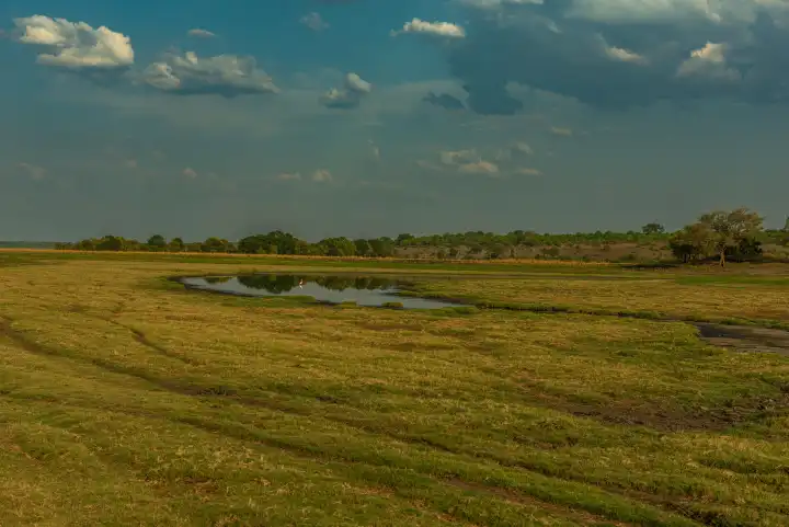 Blick auf die Landschaft am Chobe Rifer in Botswana