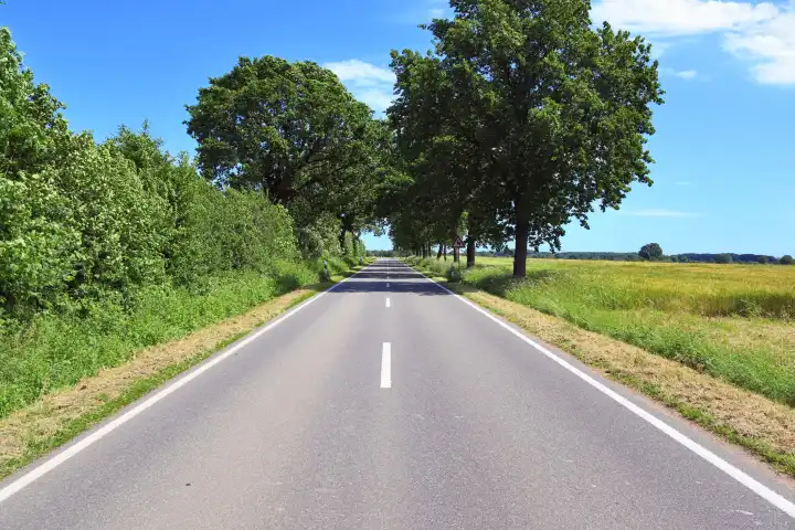 Schöne Aussicht auf Landstraßen mit Feldern und Bäumen in Nordeuropa.
