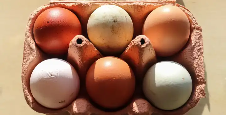 Selektiver Fokus auf eine Schachtel mit Eiern in braunen, grünen und weißen Farben