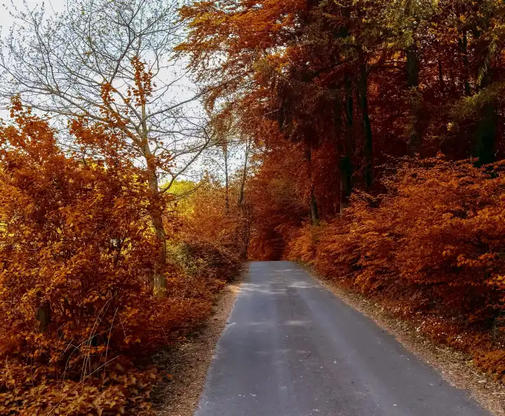Schöner Panoramablick auf eine goldene Herbstlandschaft mitten im Oktober