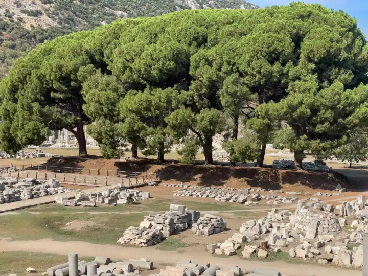 Blick ins historische Ephesus - Selcuk, Türkei - Ehemaliger Marktplatz