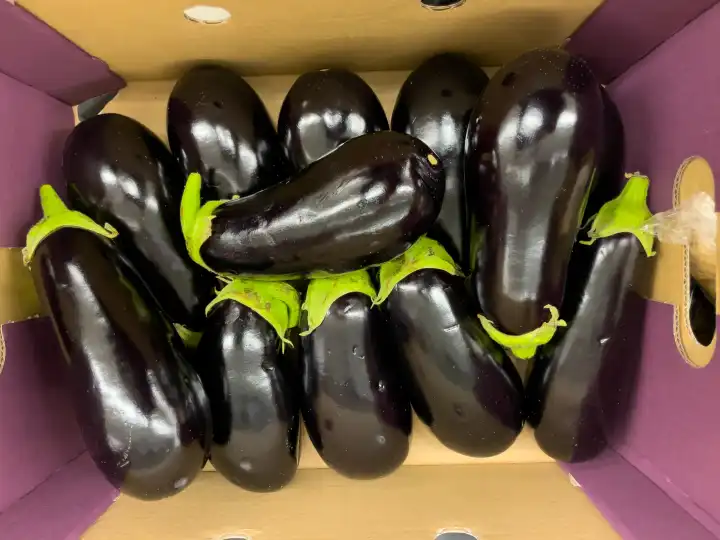 Fresh raw Purple Eggplant in a box
