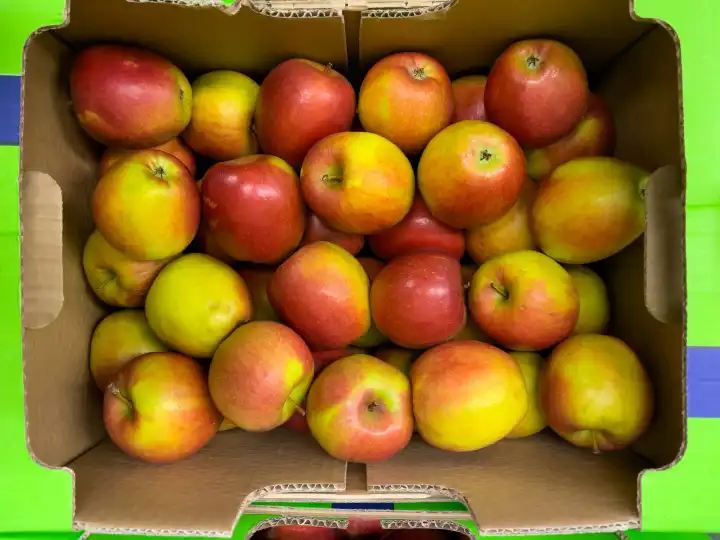 Ripe juicy red apples in a cardboard box.