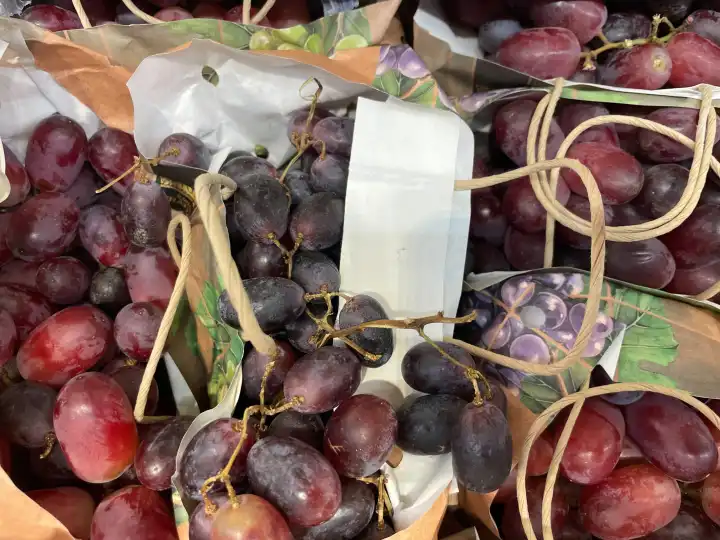 freshly picked Egyptian red table grapes 