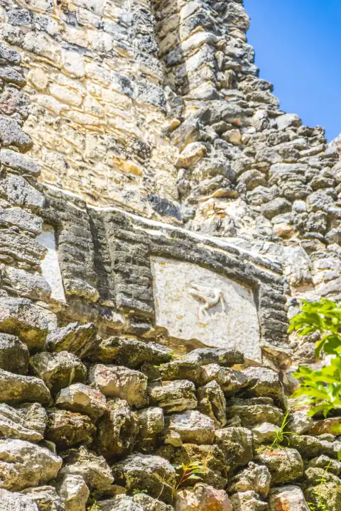 Alte Maya-Stätte mit Tempelruinen, Pyramiden und Artefakten im tropischen, natürlichen Dschungelwald mit Palmen und Wanderwegen in Muyil Chunyaxche Quintana Roo Mexiko.
