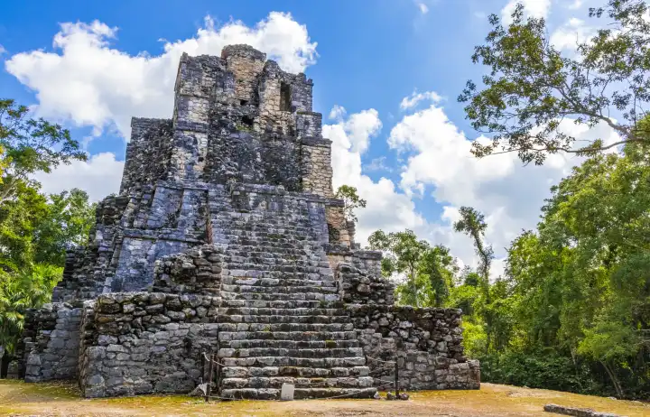 Ancient Mayan site with temple ruins pyramids and artifacts in the tropical natural jungle forest palm trees and walking trails in Muyil Chunyaxche Quintana Roo Mexico.