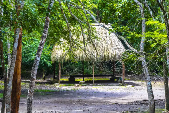 Palapa-Hütte in tropischem Dschungel und Ruinen in der Gemeinde Coba, Tulum, Quintana Roo, Mexiko.