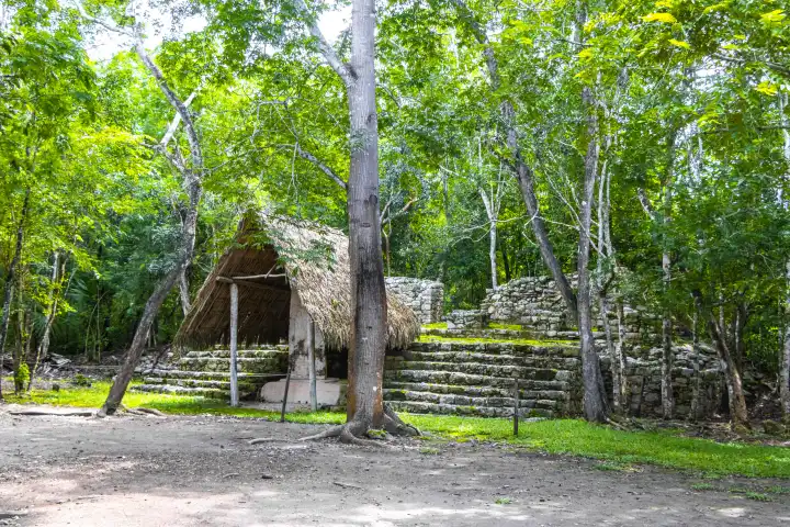 Coba Maya Ruins die alten Gebäude und Pyramiden im tropischen Wald Dschungel in Coba Gemeinde Tulum Quintana Roo Mexiko.