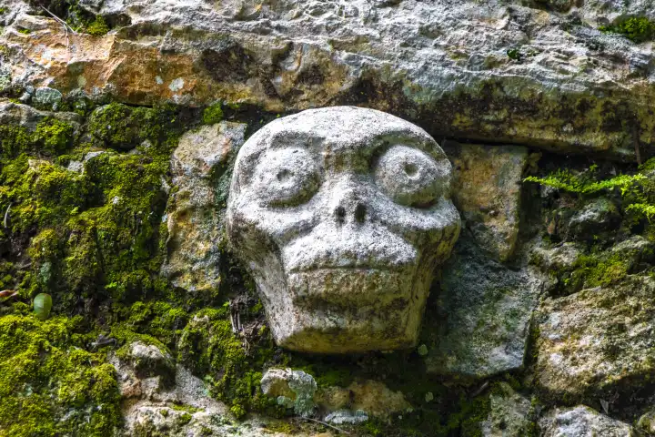 Coba Maya Ruins die alten Gebäude und Pyramiden im tropischen Wald Dschungel in Coba Gemeinde Tulum Quintana Roo Mexiko.