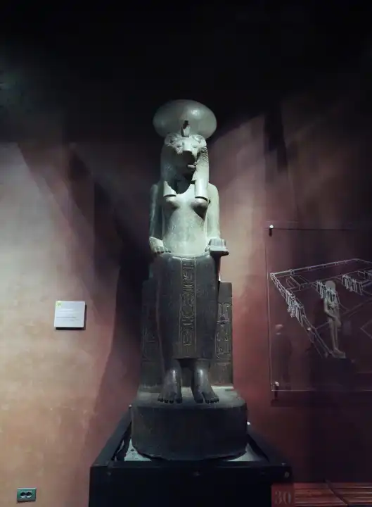 TURIN, ITALY - CIRCA DECEMBER 2022: Statue of Goddess Sekhmet daughter of the sun at Museo Egizio translation Egyptian Museum