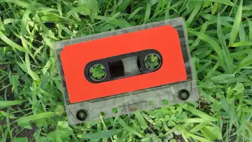 Magnetbandkassette über grünem Gras im Hintergrund