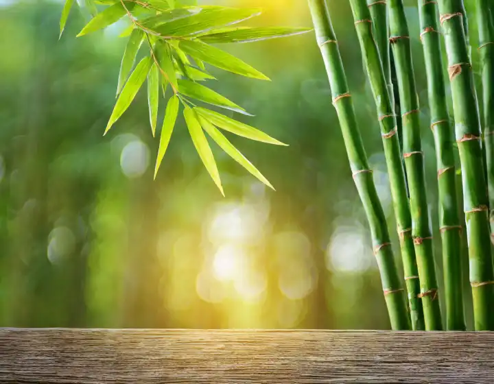 grüne Bambusbäume als Hintergrund, AI-generiert
