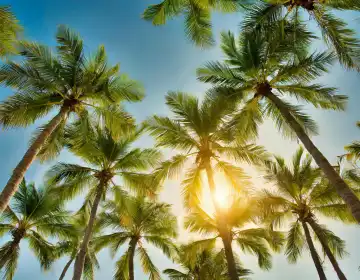 Palmen blauer Himmel nützlich als Hintergrund, AI generiert