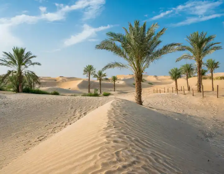 Palmen in einer Wüstenoase, nützlich als Hintergrund, AI generiertes Bild