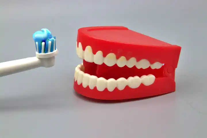 Toothbrush being offered to comedy teeth