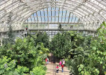 Menschen in einem großen Gewächshaus in einem botanischen Garten
